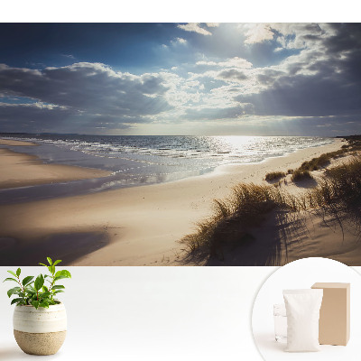 Dekor tapéta Strand természet ég zen