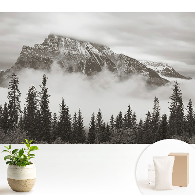 Dekor tapéta Hegyi táj köddel körülvéve