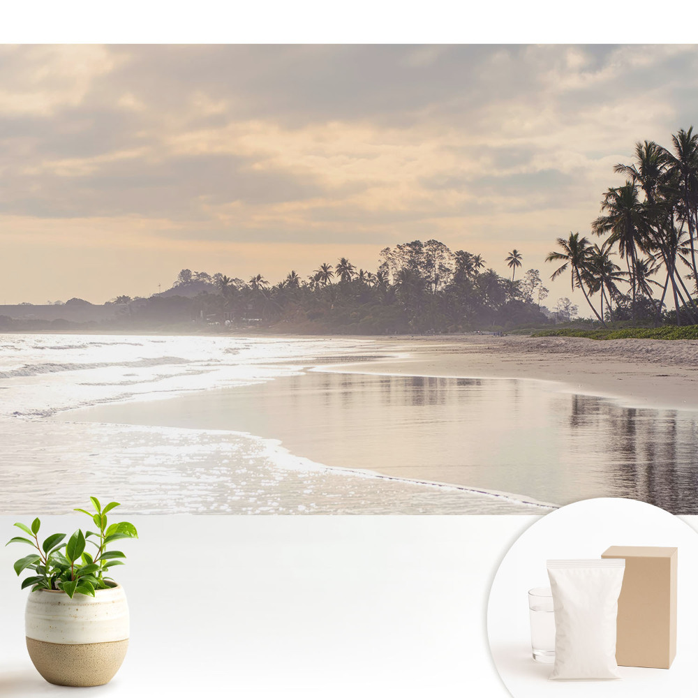 Tapéta Csendes strand pálmafákkal