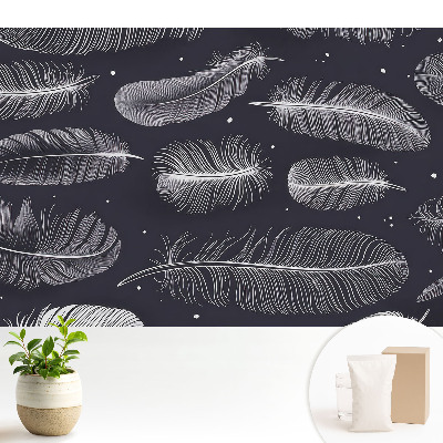 Dekor tapéta Tollak sötét háttér előtt