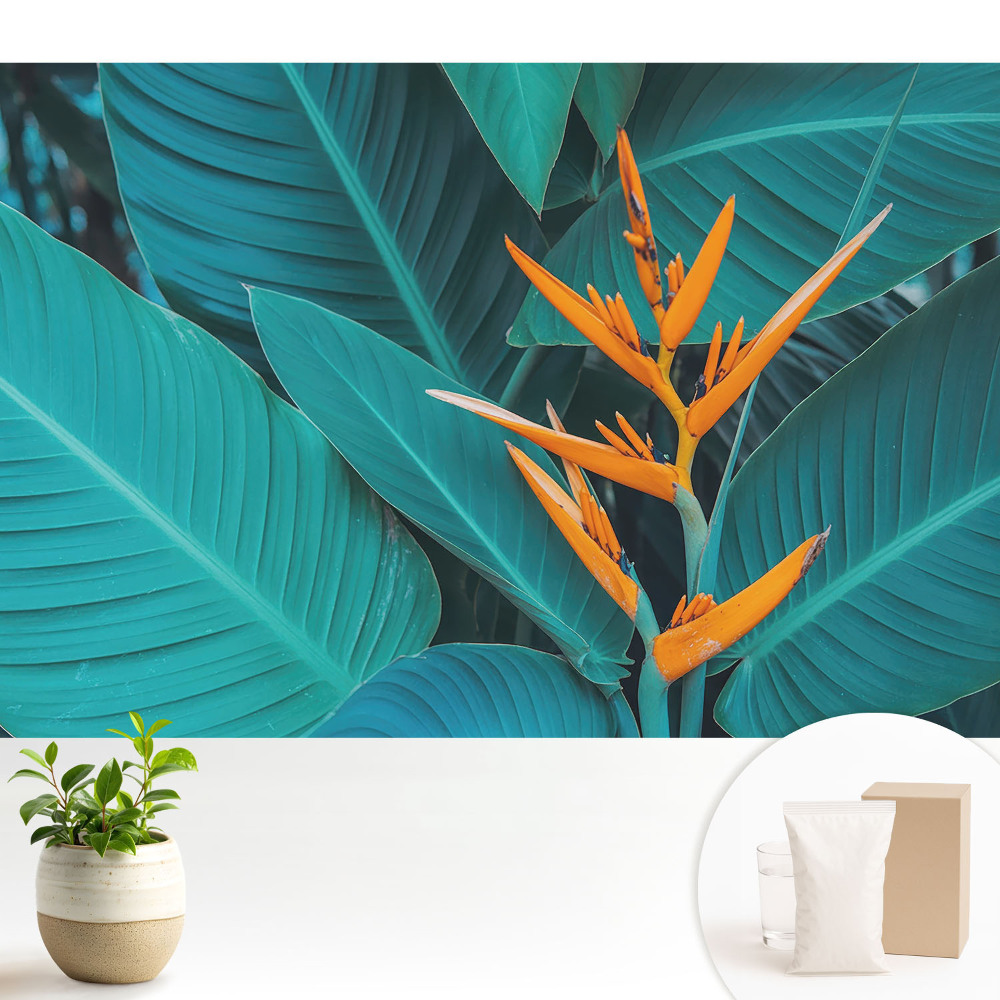 Tapéta Egzotikus növényi motívum