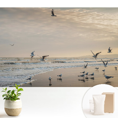 Dekor tapéta Sirályok a tengerparton naplementekor