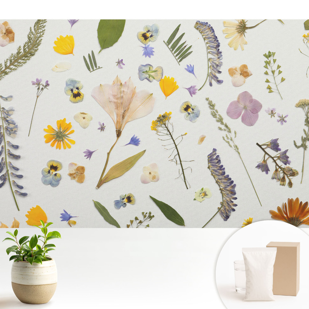 Modern tapéta Szárított virágok fehér vászonon