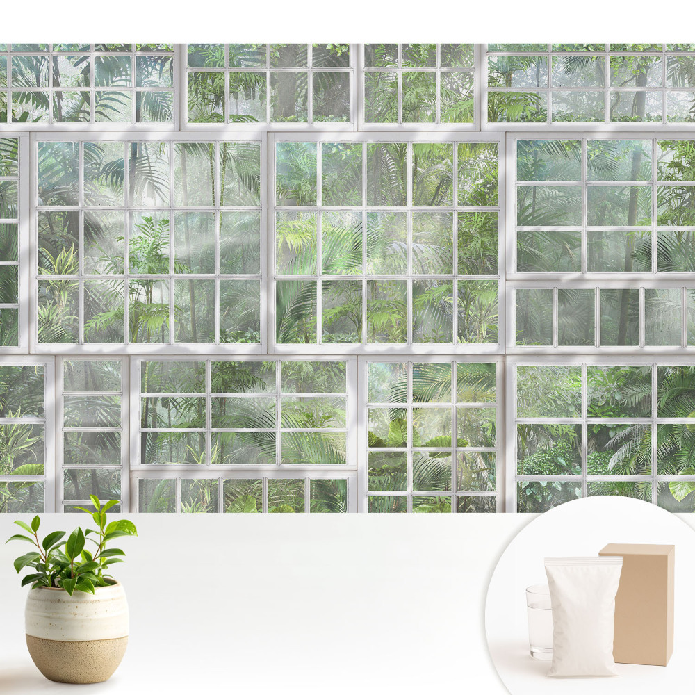 Modern tapéta Zöld dzsungel a fehér ablakok mögött