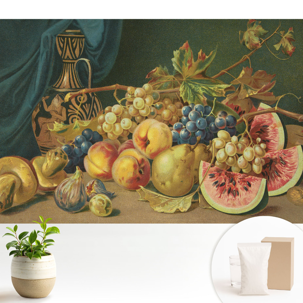 Dekor tapéta Csendélet klasszikus elegancia