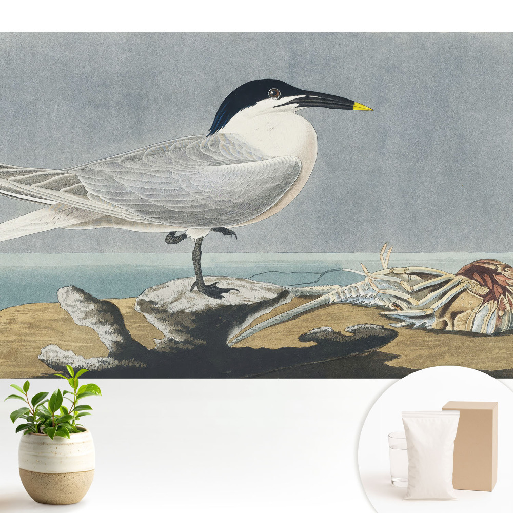 Modern tapéta Egy elegáns madár a tenger ellen