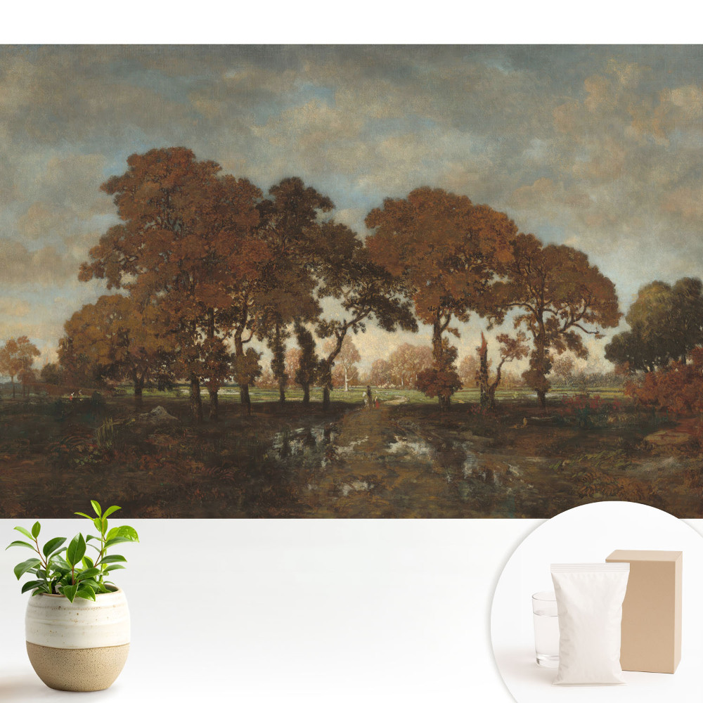 Modern tapéta Őszi fák rusztikus tájban