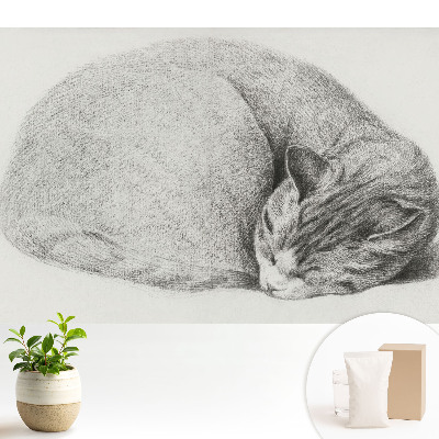 Tapéta Alvó macska realisztikus rajz