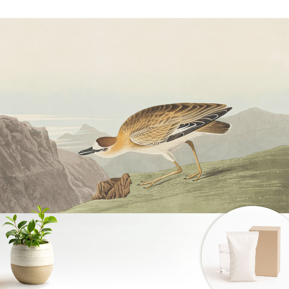 Modern tapéta Egy madár a hegyoldalban