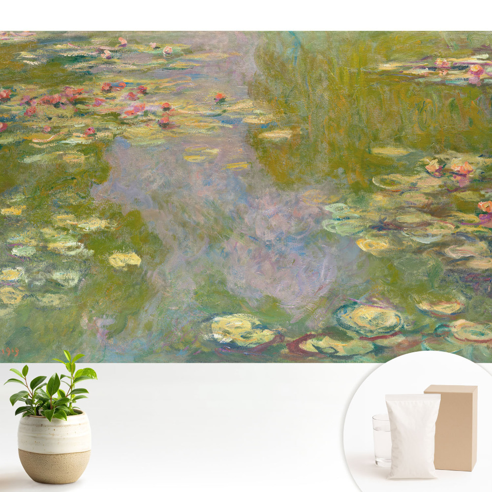 Tapéta Romantikus víz liliomokkal