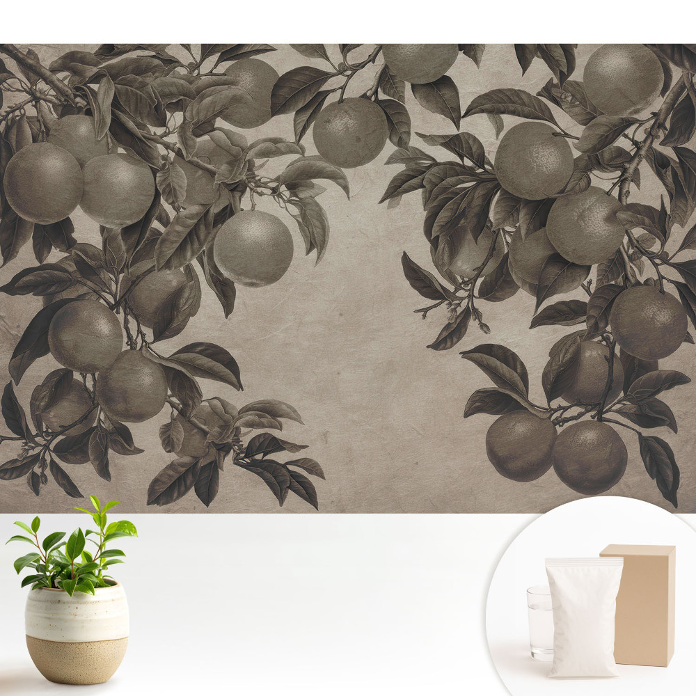 Tapéta Fekete-fehér retro gyümölcslevelek vintage