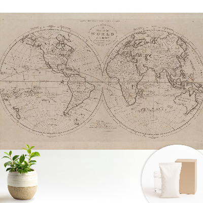 A világ történelmi rajza