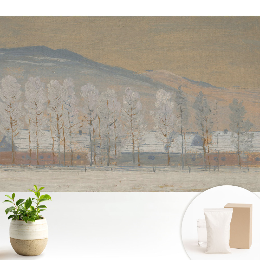 Tapéta Téli hegyi táj festői házikókkal