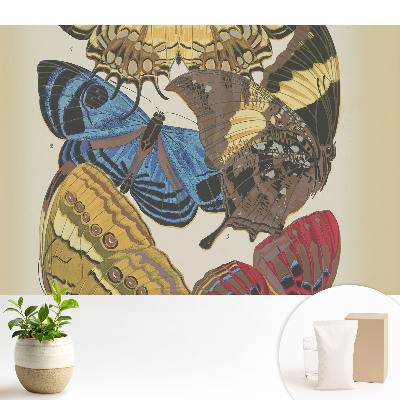 Modern tapéta Színes pillangók elegáns kompozícióban