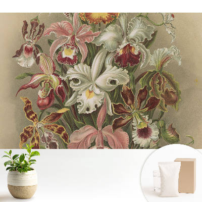 Dekor tapéta Egzotikus virágok harmóniája a természetben