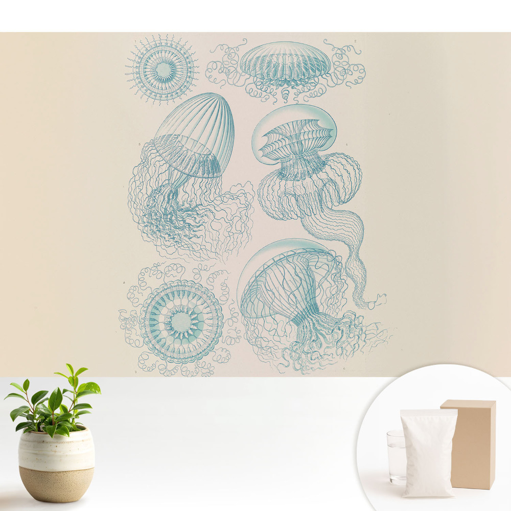 Tapéta Finom tengeri medúza rajzok