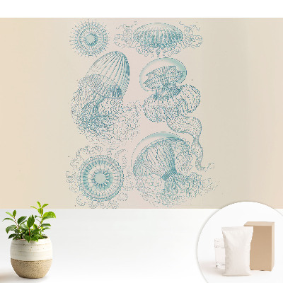 Tapéta Finom tengeri medúza rajzok