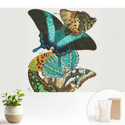 Dekor tapéta Színes pillangók klasszikus harmonikus kompozíció