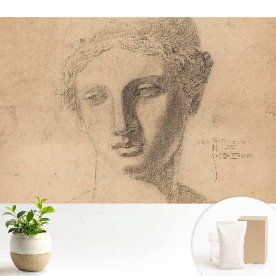 Modern tapéta Klasszikus női arcgrafika