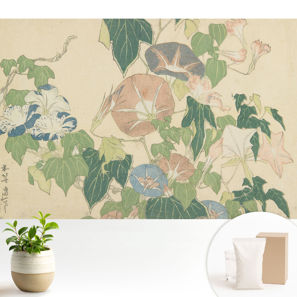 Modern tapéta Virágzó szőlőtőkék, a természet harmóniája