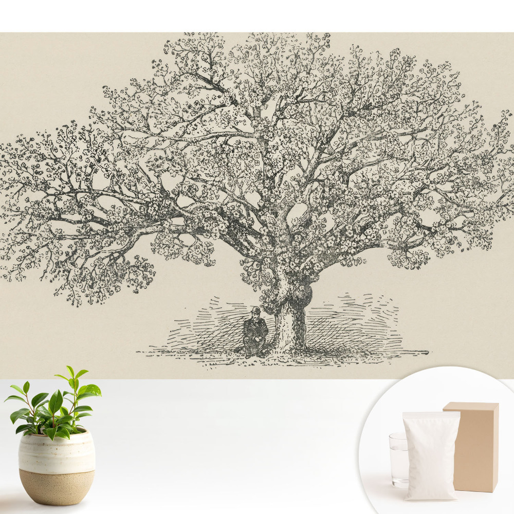 Modern tapéta Stilizált fa természet klasszikus harmónia