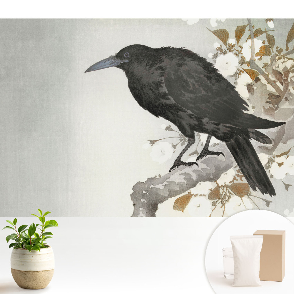 Dekor tapéta Egy finom holló a virágzó ágak hátterében