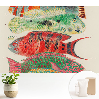 Tapéta Klasszikus stílusban illusztrált színes halak