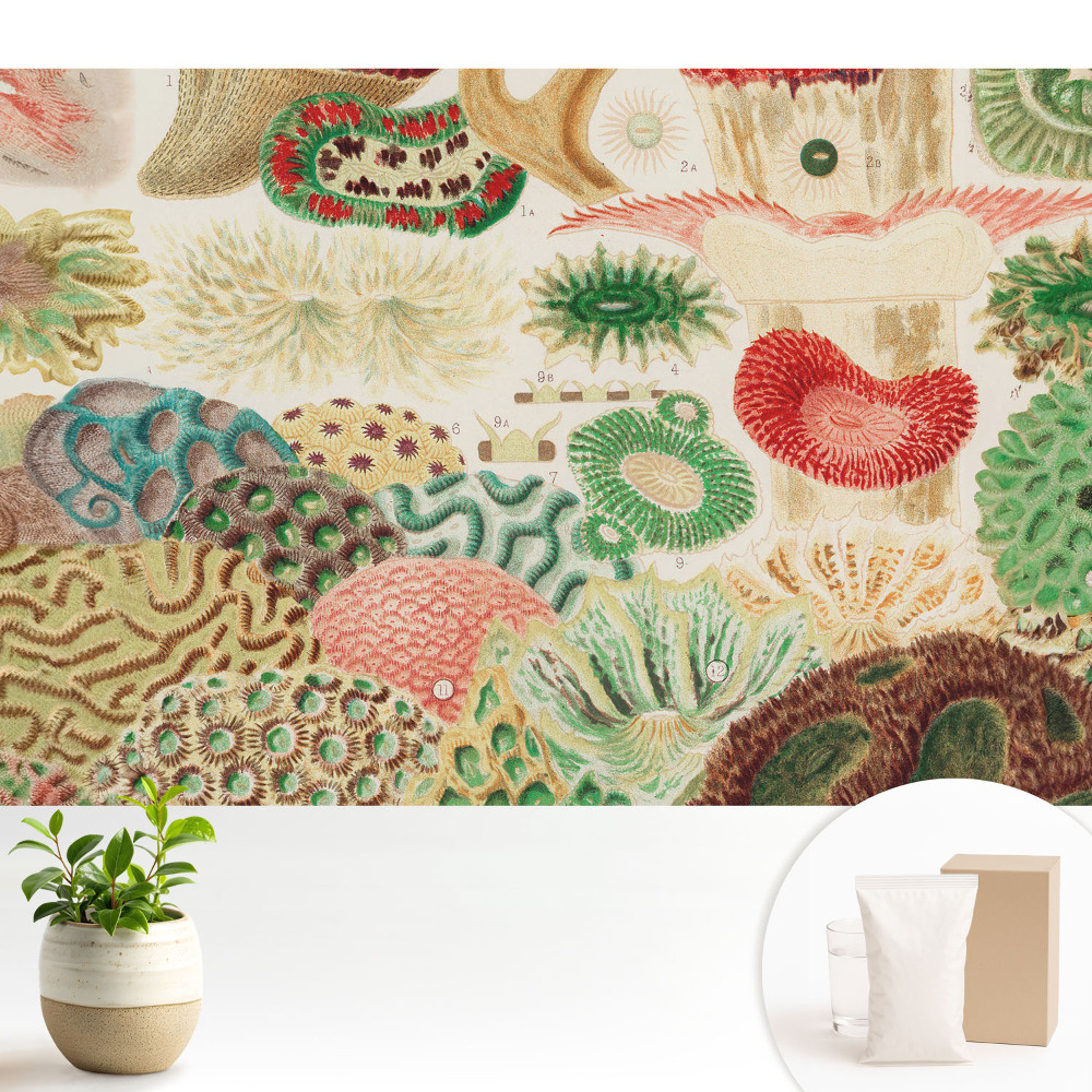 Modern tapéta Absztrakt organikus motívumok és struktúrák