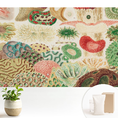 Modern tapéta Absztrakt organikus motívumok és struktúrák