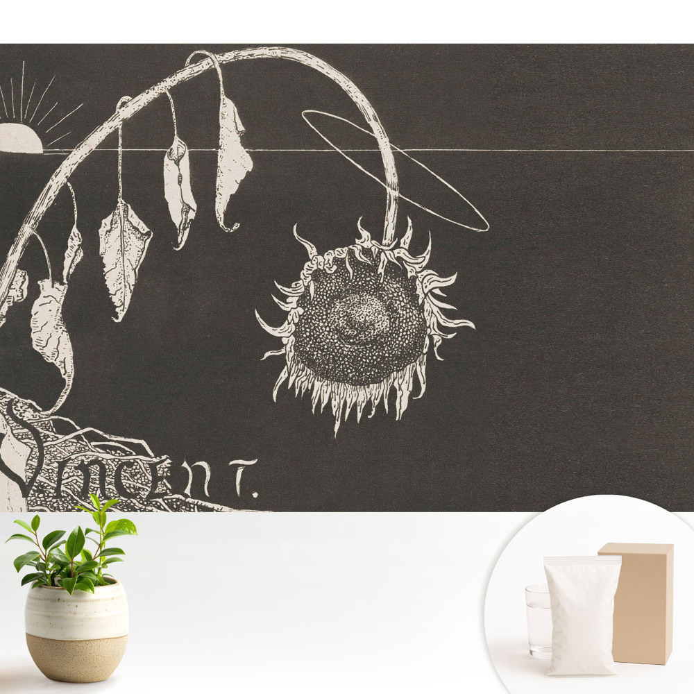 Dekor tapéta Hervadt napraforgó nosztalgikus vintage