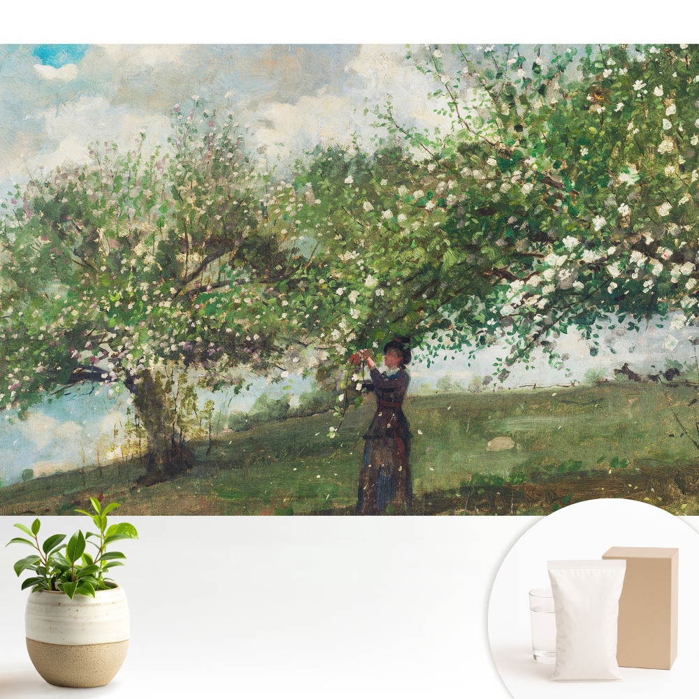 Dekor tapéta Virágfa és nő