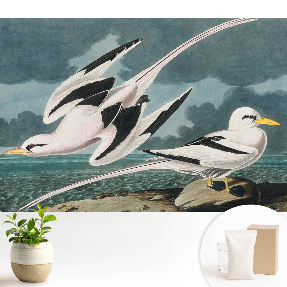 Tapéta Klasszikus festmény madarakról a tengerparton