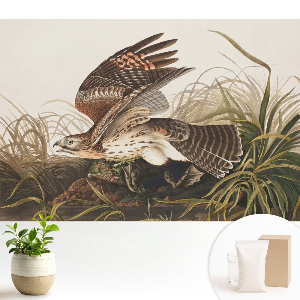 Modern tapéta Egy madár repülés közben a fű között