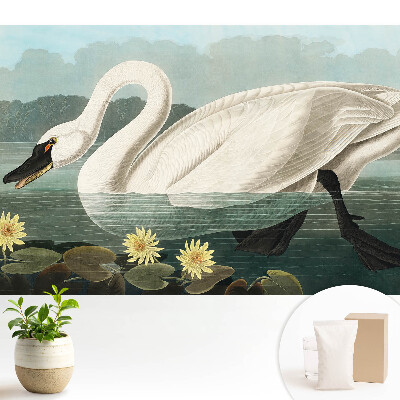 Tapéta Stílusos hattyú és tavirózsák klasszikus szépsége