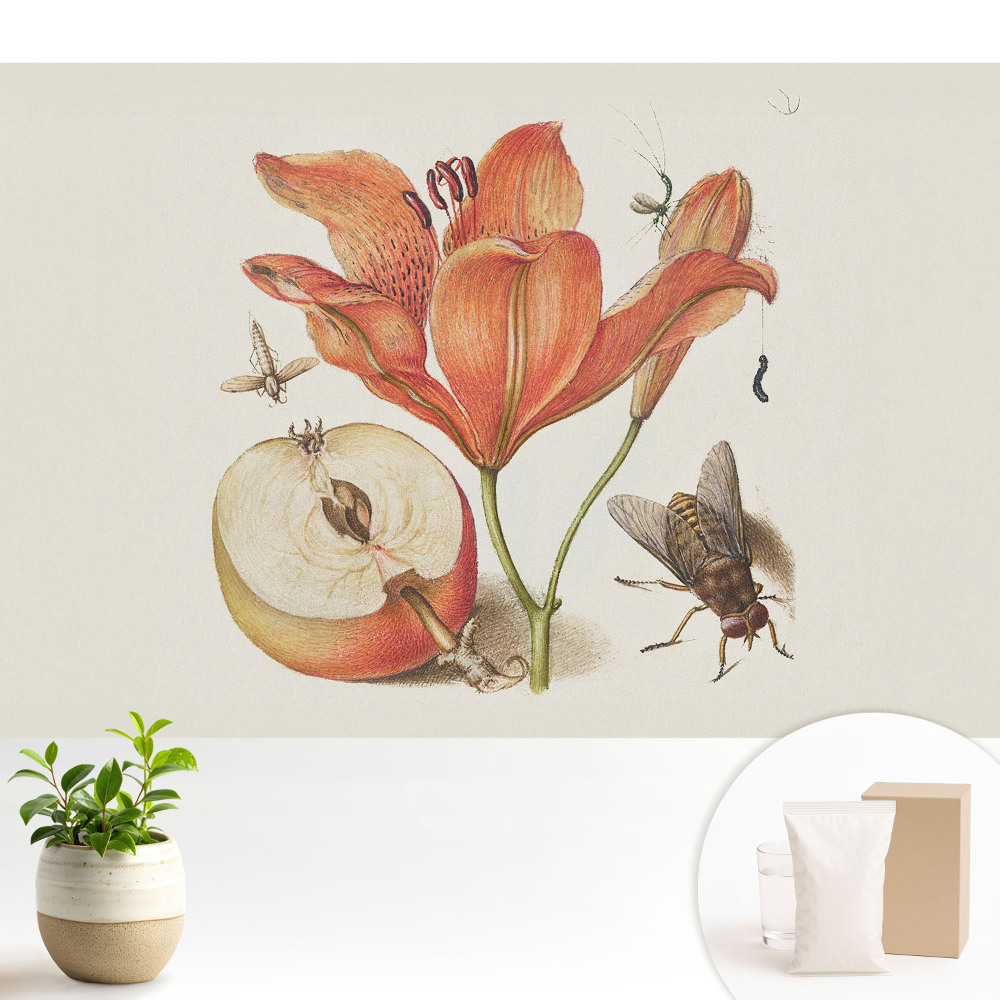 Dekor tapéta Virágok, rovarok, gyümölcsök, a természet harmóniája