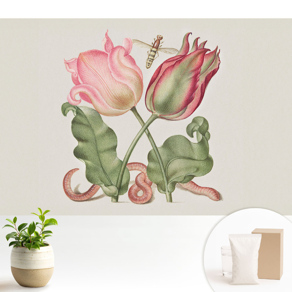 Tapéta Virágok és egy rovar nosztalgikus kompozícióban