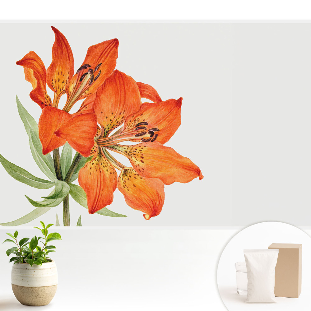 Modern tapéta Narancssárga liliom, finoman klasszikus