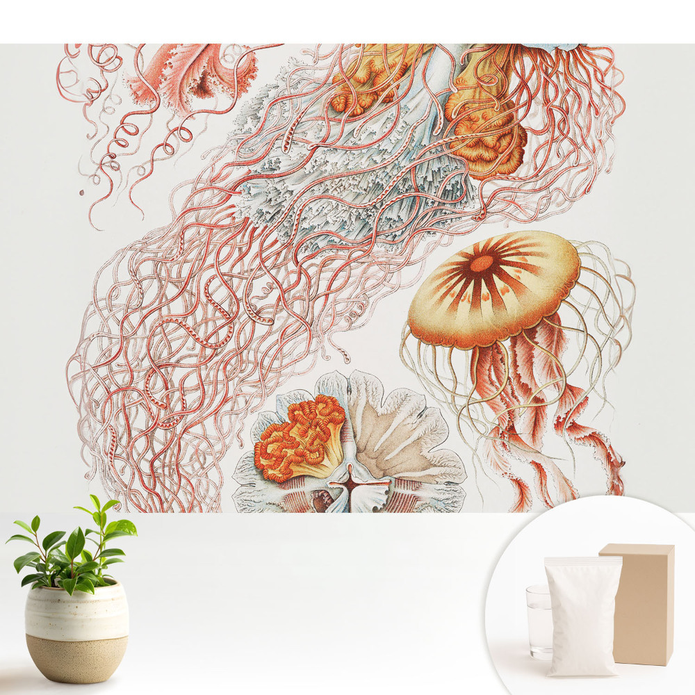 Tapéta Művészi medúza részletekkel