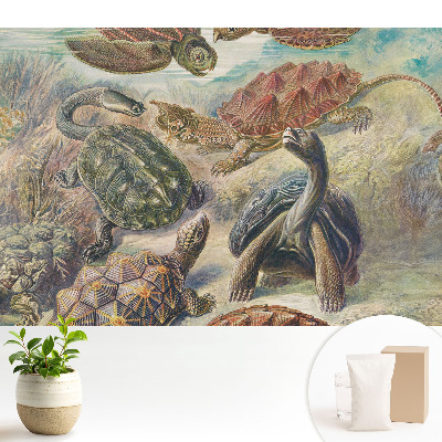 Dekor tapéta Különböző teknősök vízi tájban