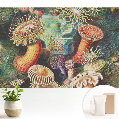 Tapéta Víz alatti formák és élénk színek