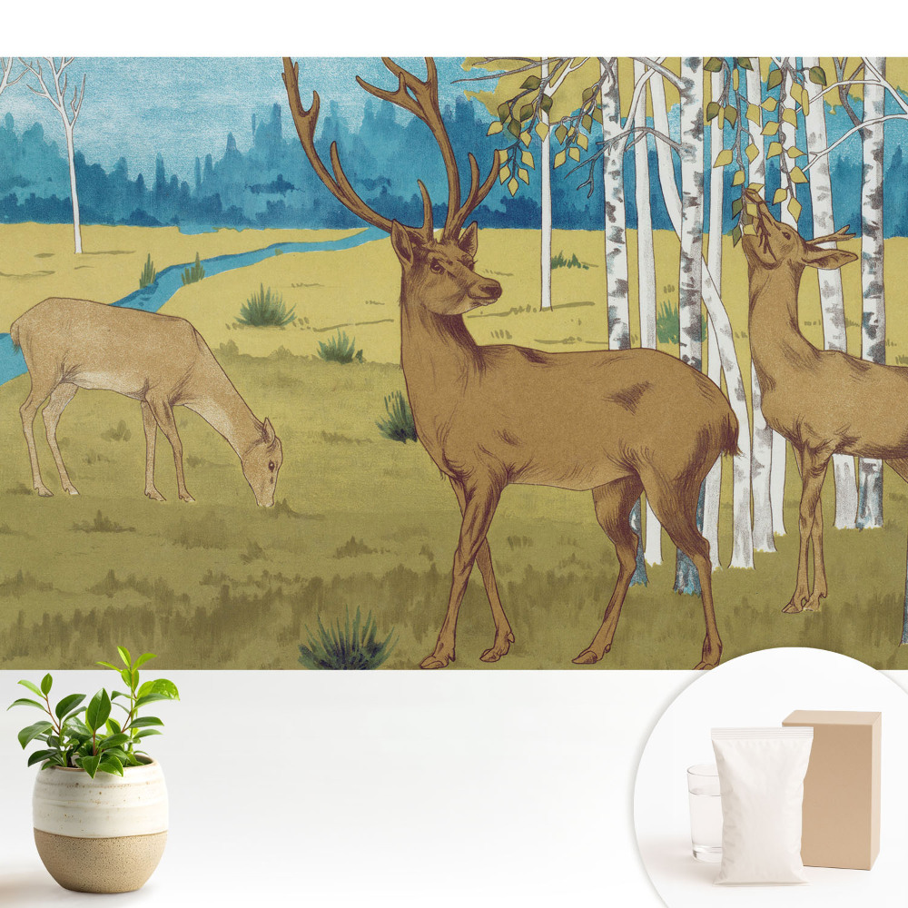 Dekor tapéta Szarvas a nyírfaerdőben