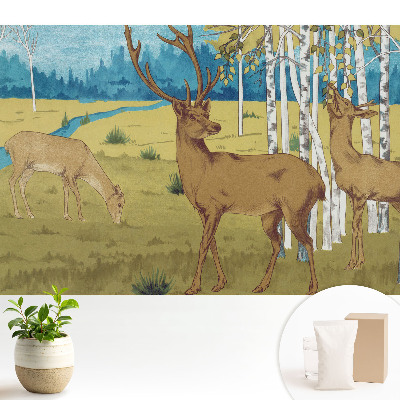 Dekor tapéta Szarvas a nyírfaerdőben