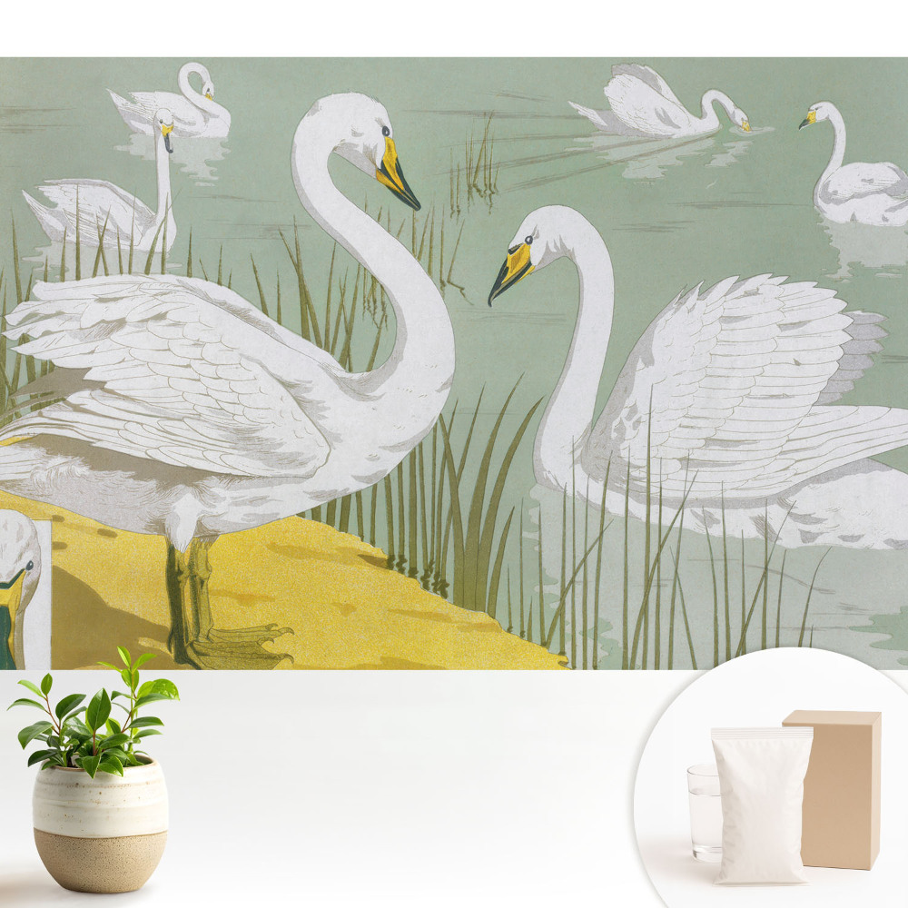 Modern tapéta Hattyúk a tavon Romantikus elegancia