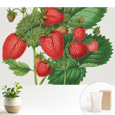 Modern tapéta Eper zöld háttérrel