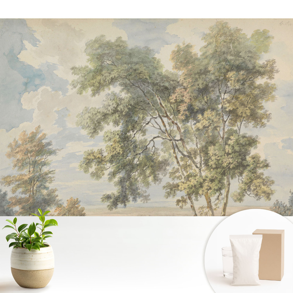 Dekor tapéta Egy nyugtató táj fákkal és égbolttal