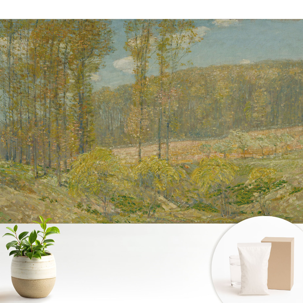 Dekor tapéta Természetes táj harmonikus stílusban