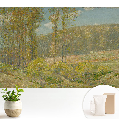 Dekor tapéta Természetes táj harmonikus stílusban