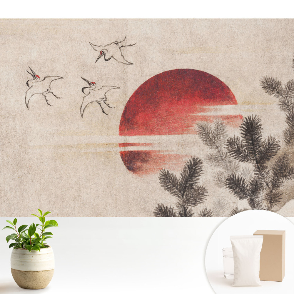 Dekor tapéta Három madár és a nap a tűlevelű fák hátterében