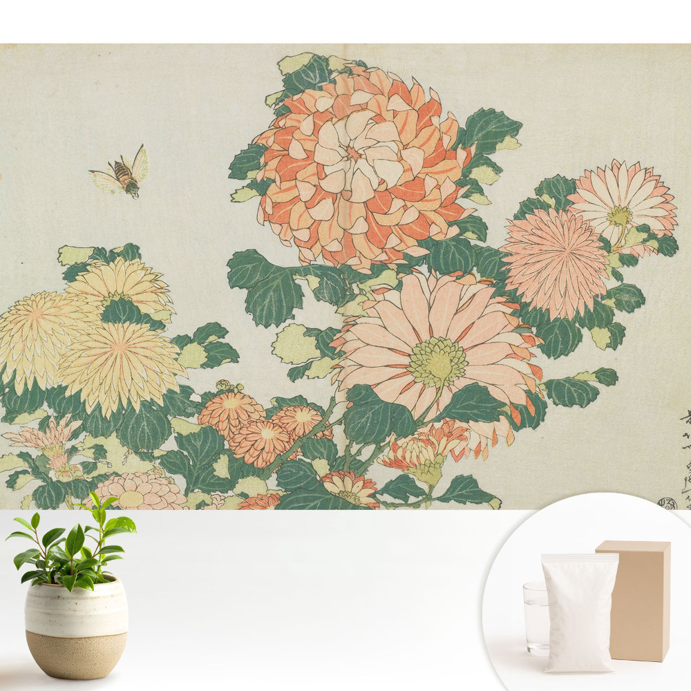 Modern tapéta Krizantém virágok méh harmónia