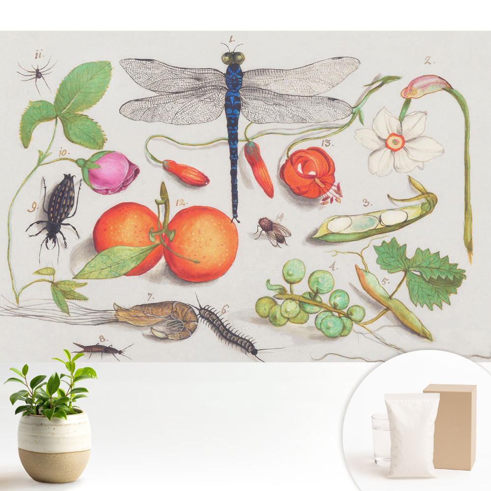 Dekor tapéta Botanikai kollázs rovarokkal